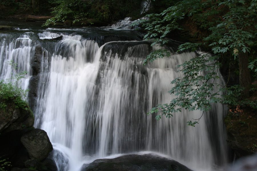 Whatcom Falls in Whatcom Falls Park, Bellingham, Washington