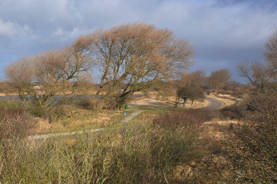 File:Netherlands, Wassenaar, Meijendel (1).JPG