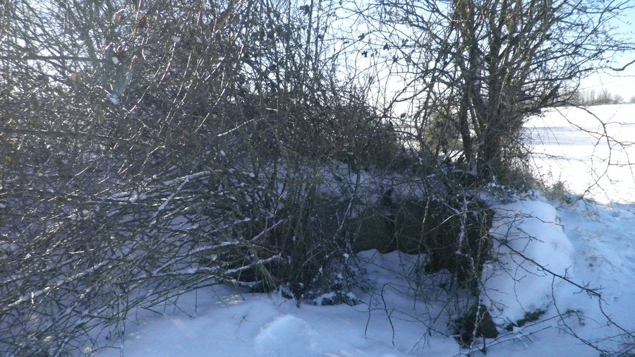 Ennebølle Jættestue auf Langeland