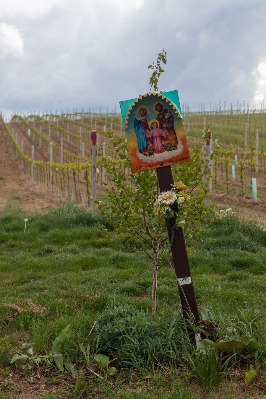 Weinsäule in den Weinbergen bei Čejkovice in Südmähren