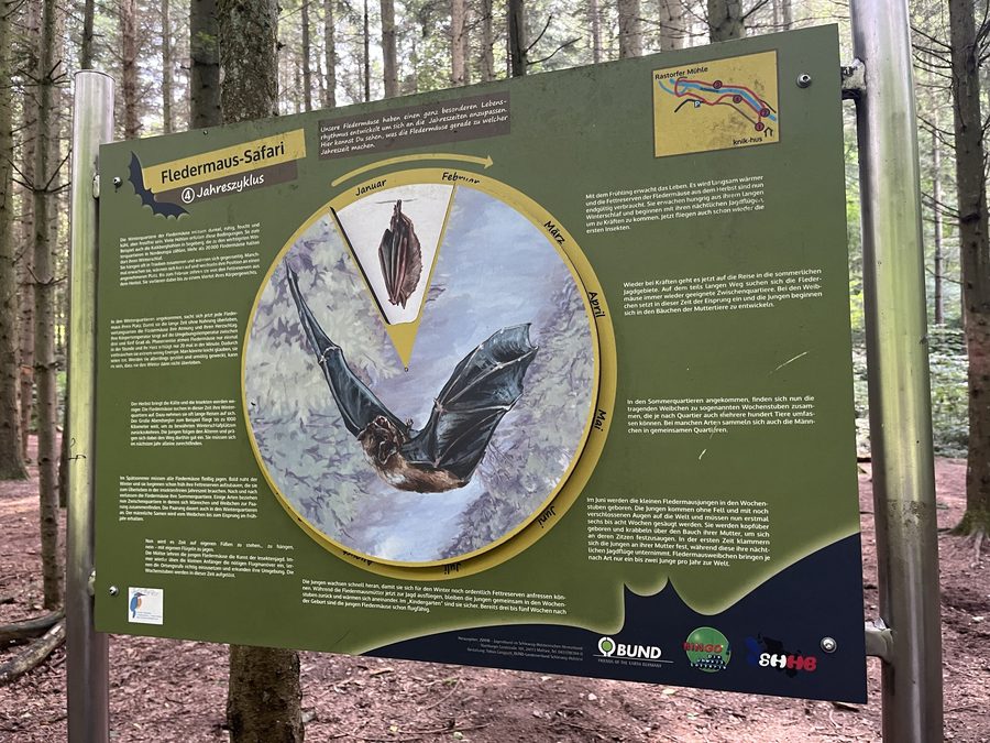 Schautafel zur Fledermaus-Safari im Schwentinepark