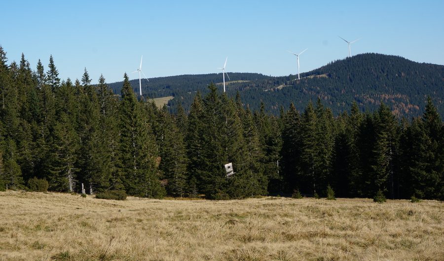 Panoramablick über den Windpark der Freiländer Alm bei der Stoffhütte in der Steiermark