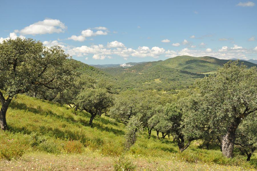 Blick auf Zufre in der Sierra de Aracena y Picos de Aroche