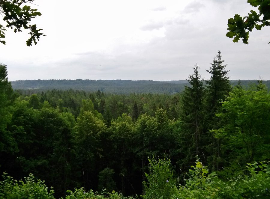 Blick über den Gauja-Nationalpark vom Rūsiņš-Hügel