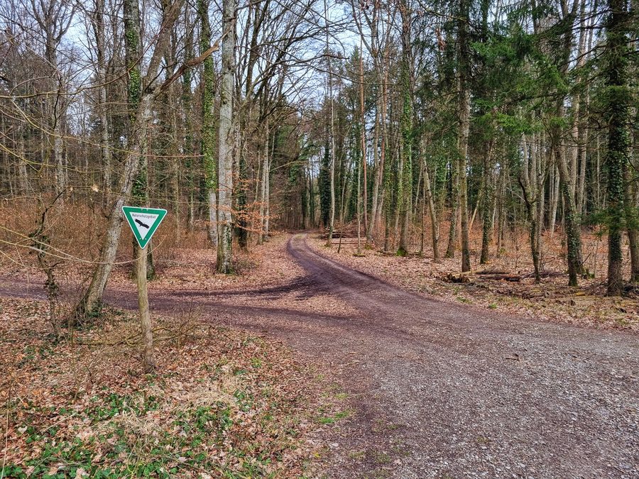 Naturschutzgebiet Litzelsee bei Radolfzell und Steißlingen