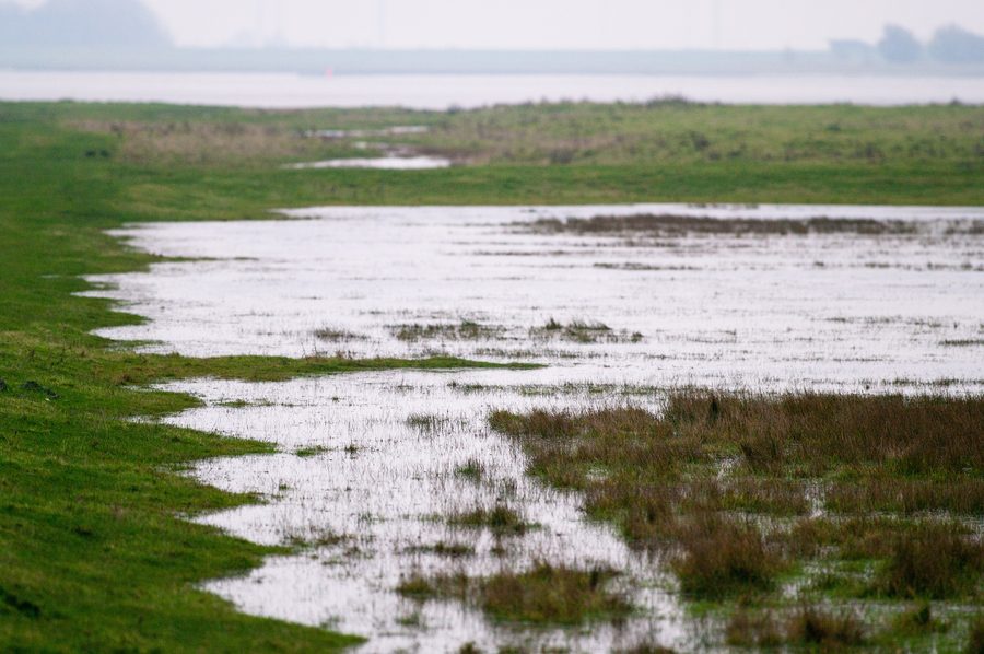 Überflutete Marschwiesen im Katinger Watt an der Eider