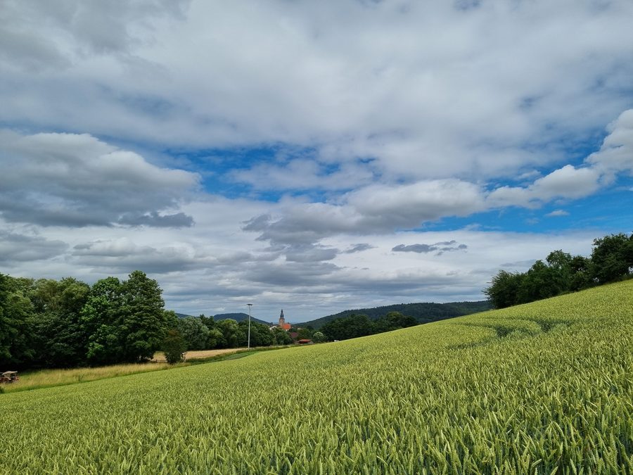 Blick über den Wälzebach oberhalb von Bad Zwesten zur Kirche