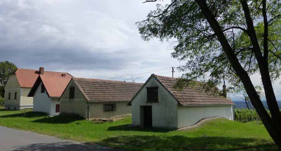 Weingartenlandschaft im südlichen Burgenland