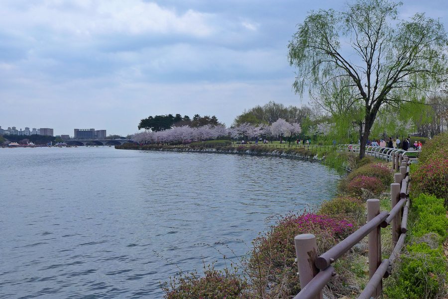 Grün geprägter Park in Gyeonggi-Do