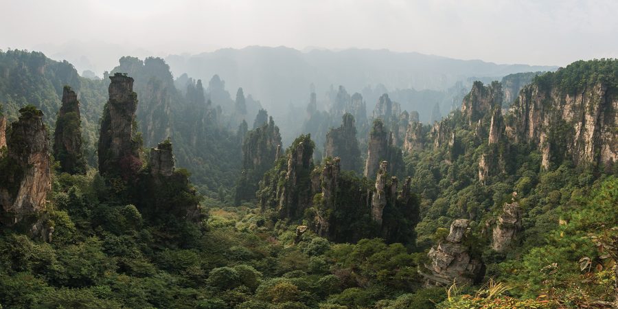 Panoramablick auf die Sandsteinpfeiler und Berglandschaft von Wulingyuan bei Zhangjiajie