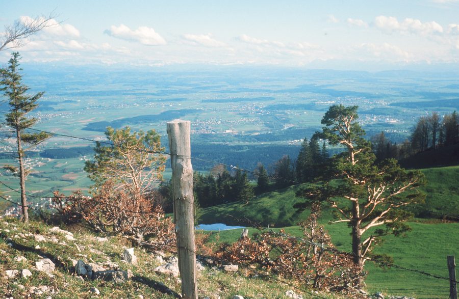 Blick über die Wasseramt-Dörfer vom Niederwiler Stierenberg.