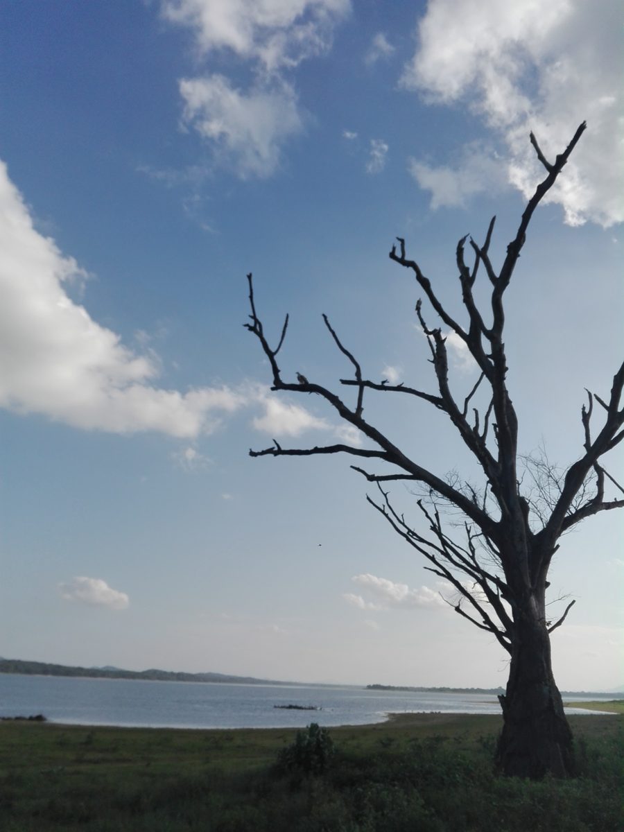 Landschaft in Sri Lanka
