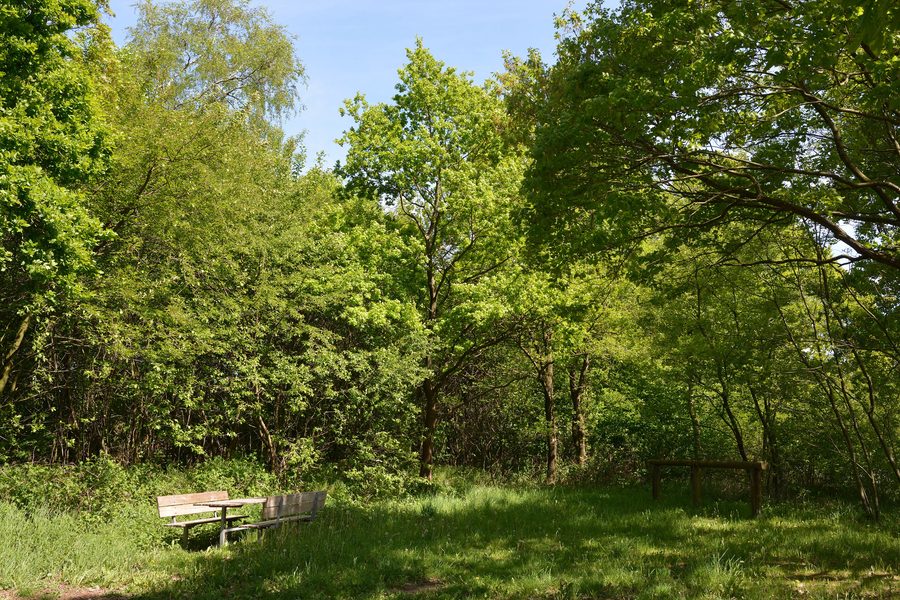 Naturerlebnisraum Mühlenau/Mildstedter Tannen in Mildstedt