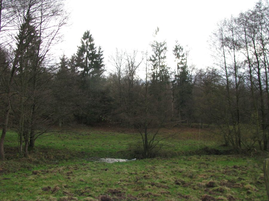 Bachtal des Ingelheim-Baches südöstlich von Staufenberg-Nienhagen im Kaufunger Wald