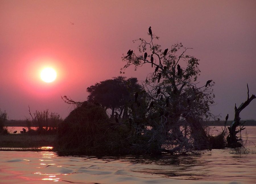 Flusslandschaft am Chobe River in Namibia