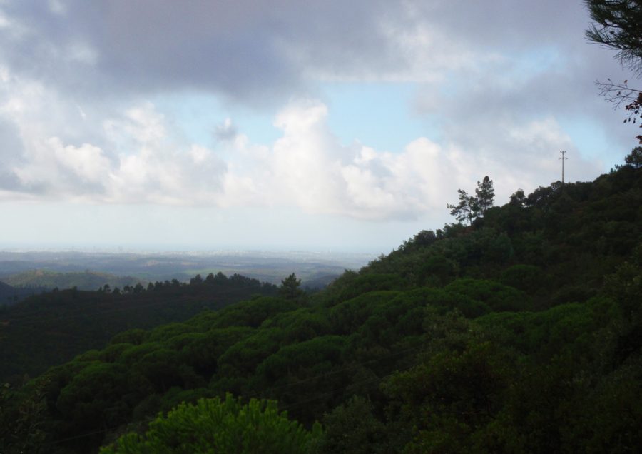 Wooded valley of Caldas de Monchique viewed from a nearby viewpoint