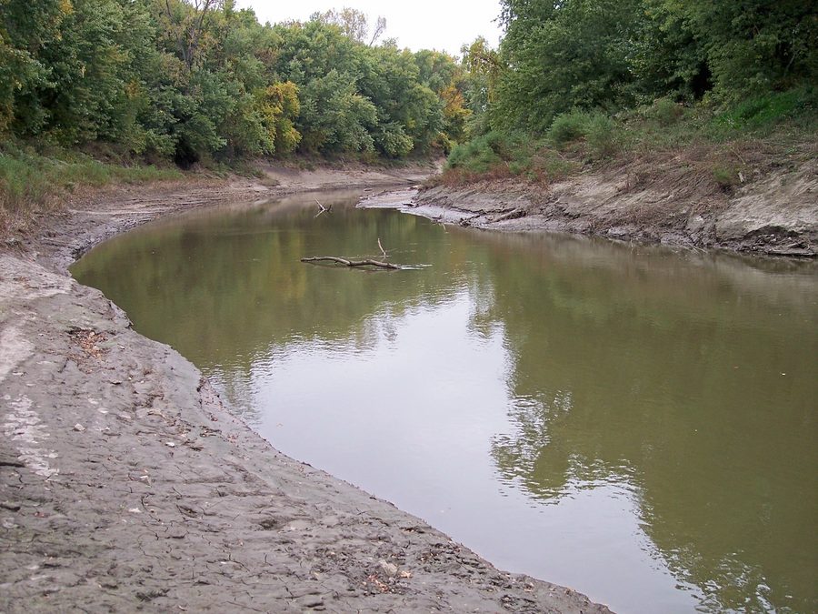Der Platte River mit bewaldetem Ufer in der Platte Falls Conservation Area nahe Platte City