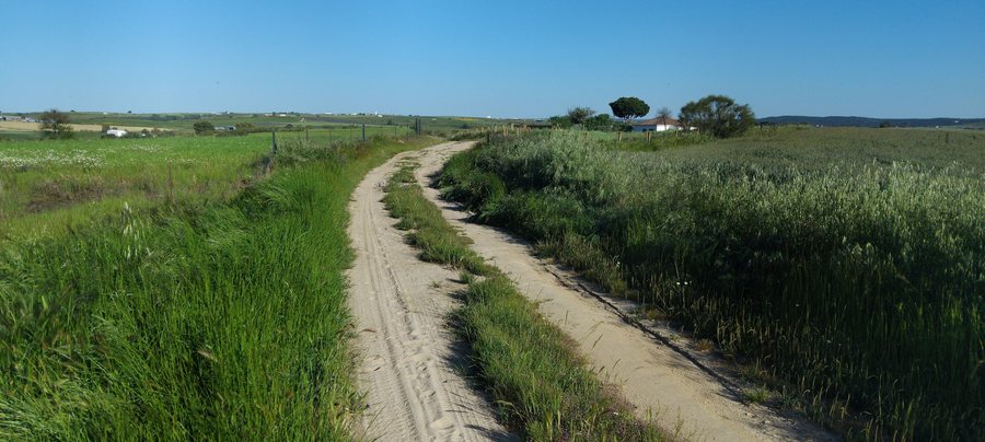 File:Camino Villaralto - Añora.jpg