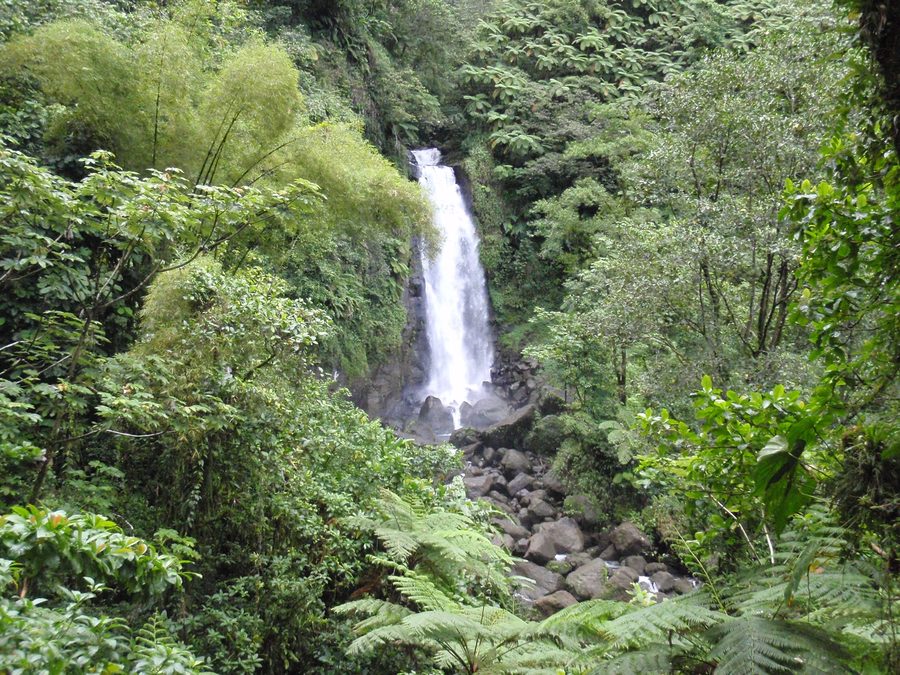 Trafalgar Falls auf Dominica