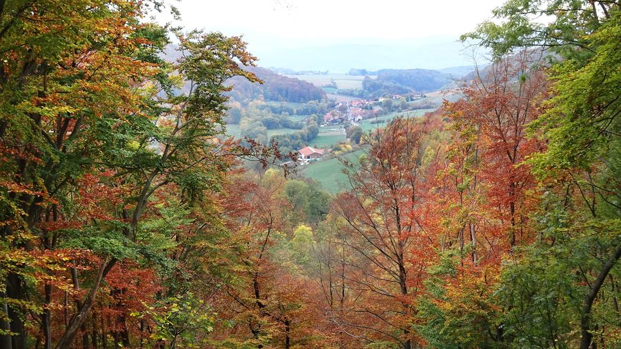 Landschaft bei Asbach im Naturpark Eichsfeld-Hainich-Werratal