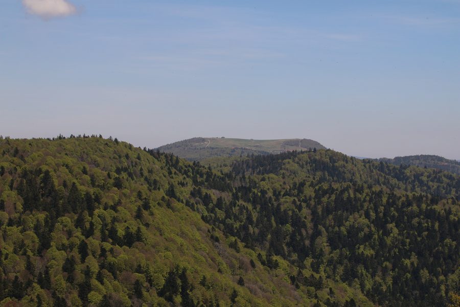 Blick auf den Ballon d’Alsace von der Planche des Belles Filles bei Lepuix
