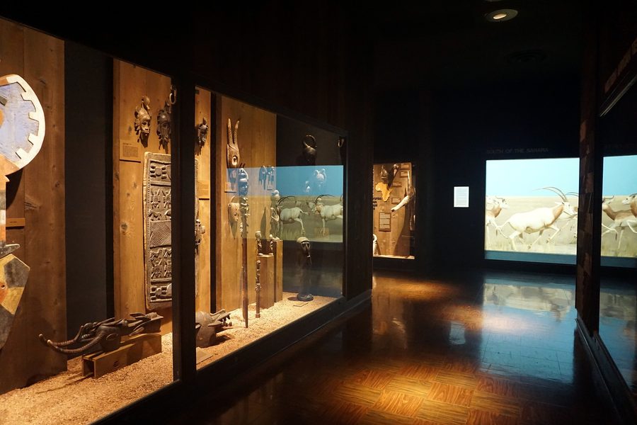 Foto aus dem Milwaukee Public Museum mit Bezug zu West- und Südafrika.
