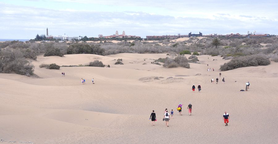 Dünenlandschaft von Maspalomas auf Gran Canaria mit Blick in Richtung Küste