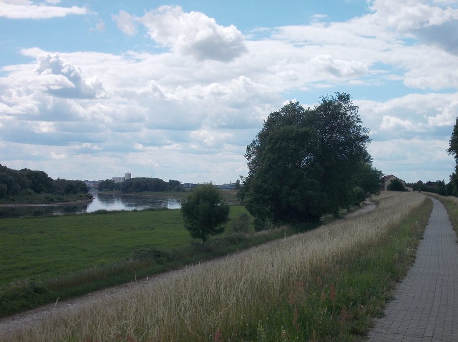Die Elbe bei Moritz im Landkreis Meißen