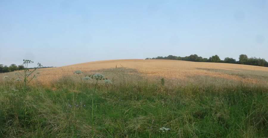 Ehemaliger Kolonnenweg nordöstlich von Teistungen an der Grenze