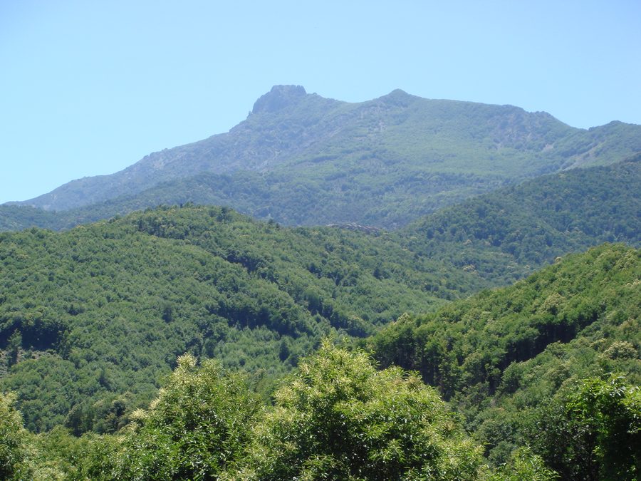 Berg- und Tallandschaft der Castagniccia auf Korsika