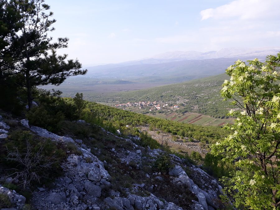 Blick auf die Ortschaft Velić in Kroatien