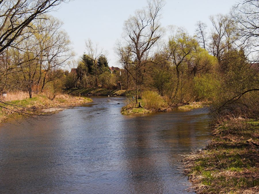 Zusammenfluss von Oder und Sieber bei Hattorf am Harz