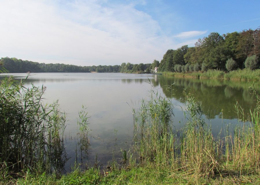 See De IJzeren Man bei Weert