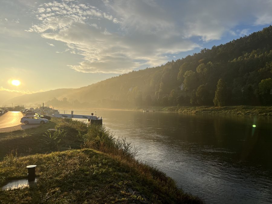 Morgenstimmung an der Elbe in Bad Schandau