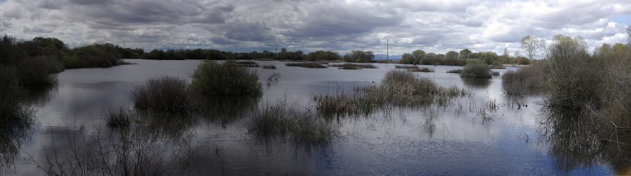 Lagune von Villadangos del Páramo in León
