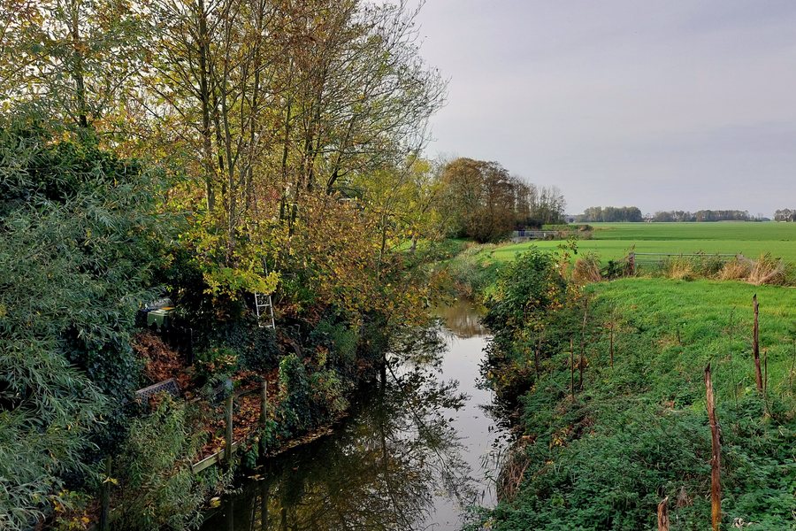 File:2022 Hijum, Hijumer Feart.jpg