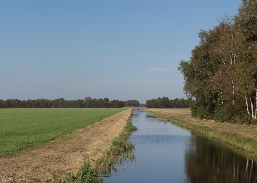 File:Weiteveen, sloot in veenlandschap bij de Ir. Biewengaweg - Wethouder G.H. Scherpenlaan foto6 2016-09-25 15.15.jpg