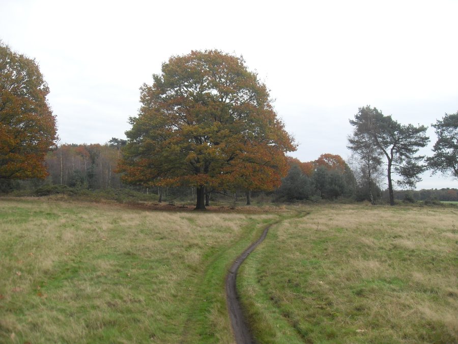 File:5374 Schaijk, Netherlands - panoramio.jpg