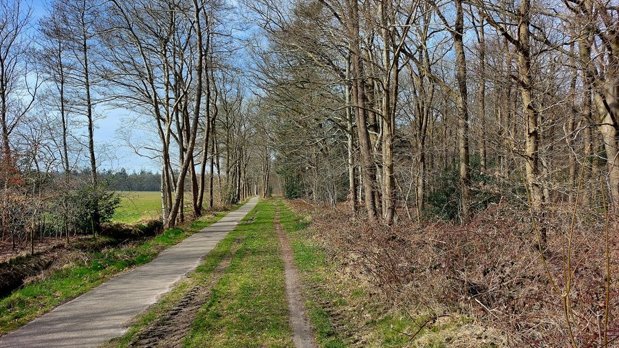 File:Olterterp, boskpaad foar it Wite Hûs oer (2022).jpg