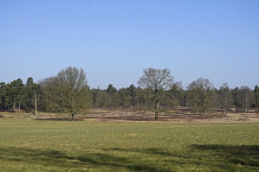 File:Wezep Vuursteenberg Open area seen from the southeast.jpg