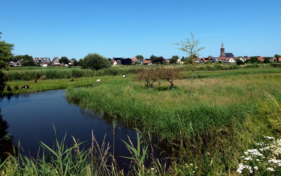 File:Alkmaar-Schermerhorn, dorpszicht met Hervormde kerk RM33108 IMG 7011 2023-06-25 15.26.jpg