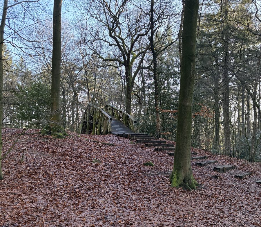File:Driebergen-Rijsenburg Zwitserse brug 2026a.jpg