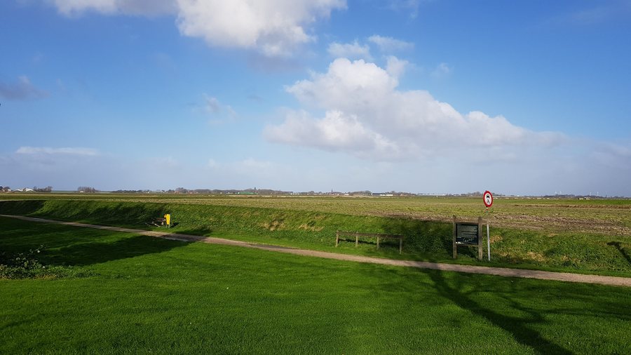 File:Wijnaldum-Terpenreeks (1).jpg