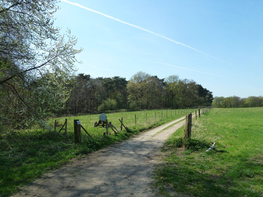 File:Sweikhuizen-Aan kruispunt Beukenboomsweg-Sleijerweg.JPG
