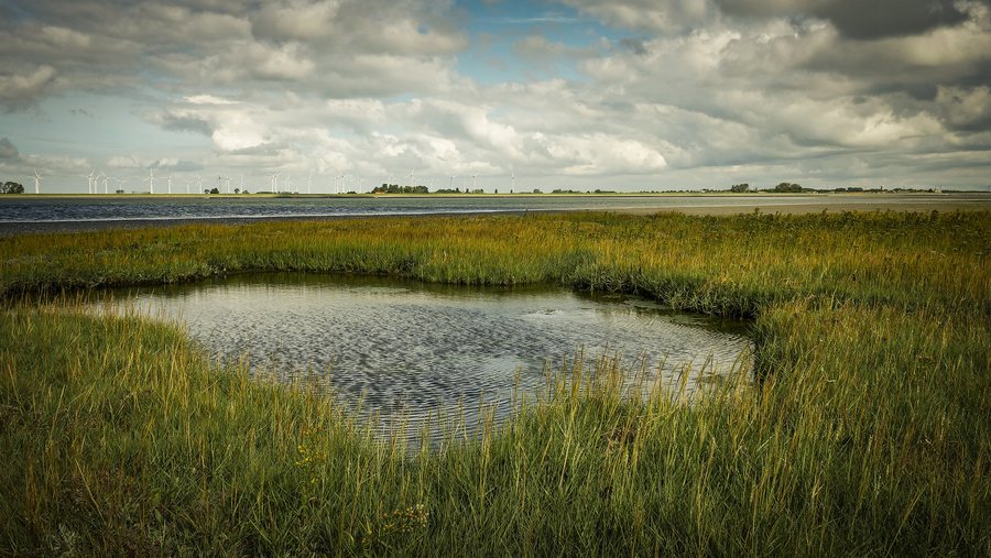 File:Sint-Annaland Salt Marshes.jpg