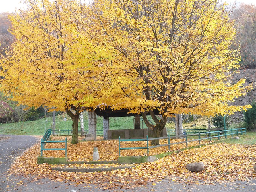 File:I colori dell'autunno a Gratacasolo di Pisogne - panoramio.jpg