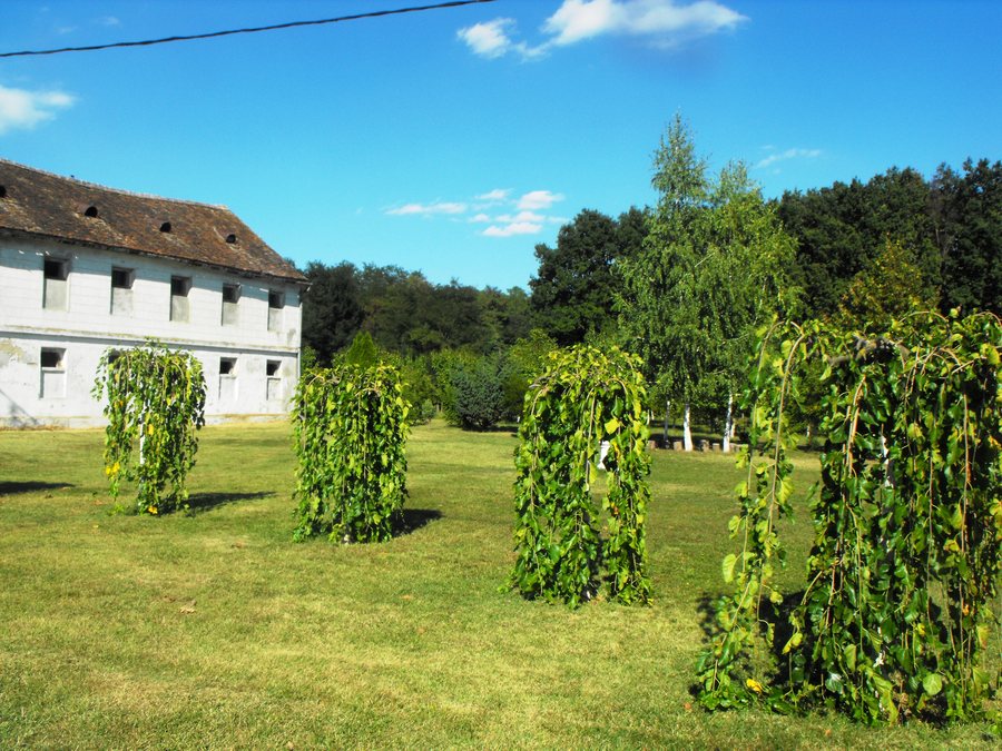 File:Chiliile - 2 - Mânăstirii Sf. Gheorghe - jud. Timiş, Romania.jpg