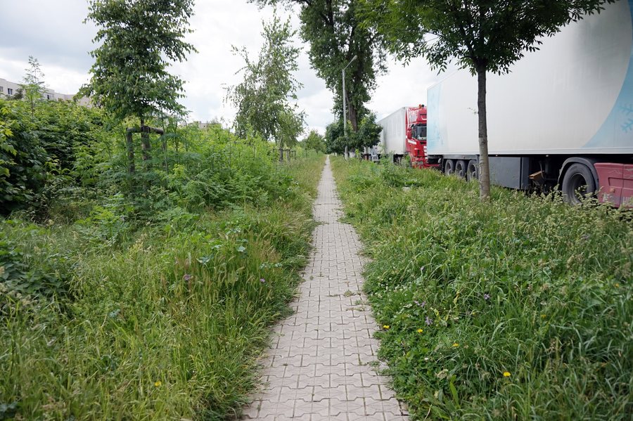 File:Giurgiu - walkway.jpg