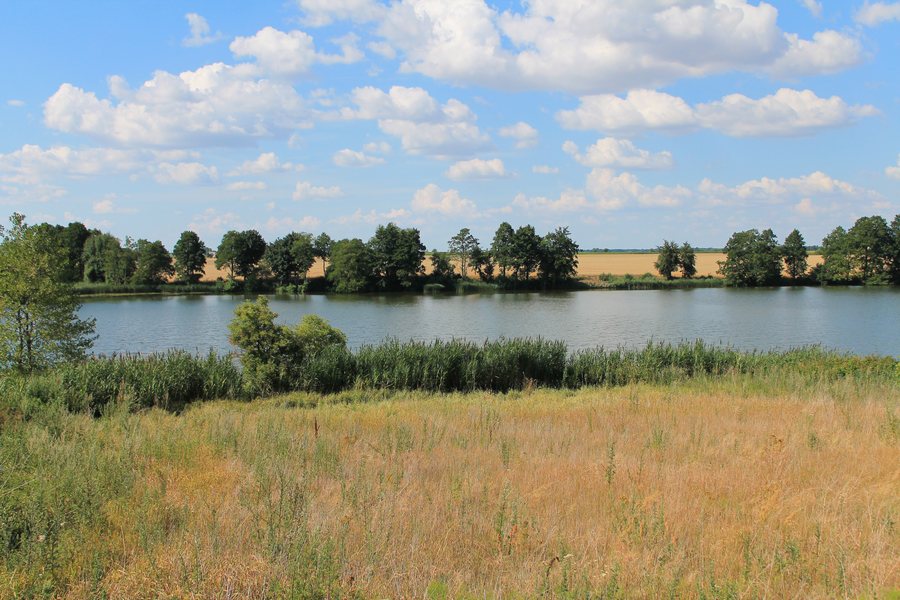 File:Jezioro Skrzetuszewo Małe, 2018-07-15.jpg