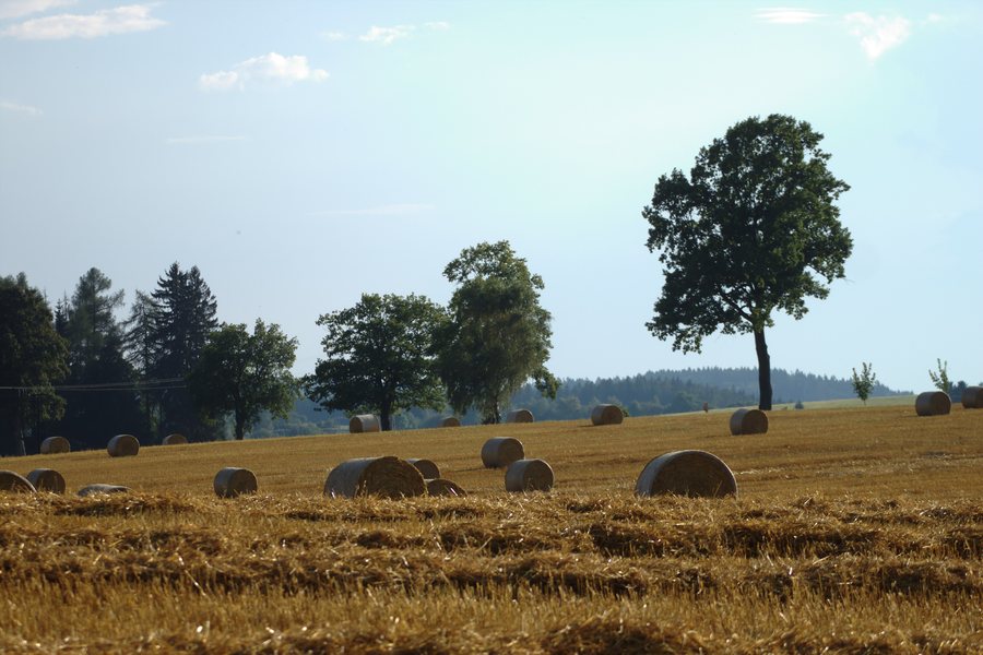 File:Smilovy Hory, sklizené pole.jpg